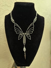 BUTTERFLY VERTEBRAE 2.0