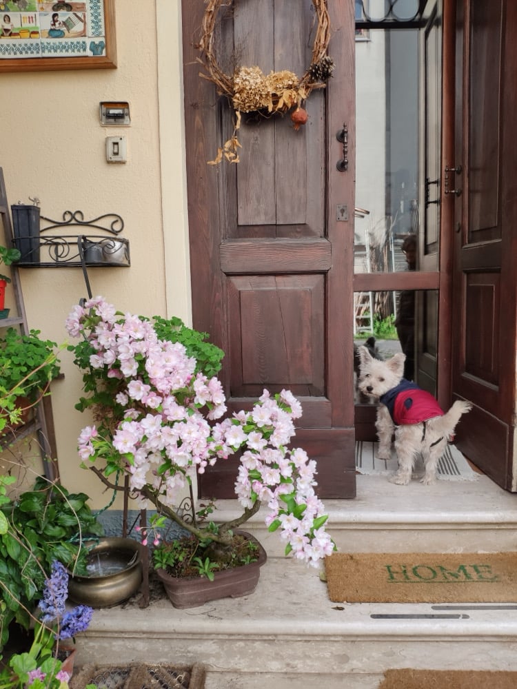 PIATTO - FILOSOFIA BAU