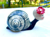 Sweet Snail Baby with Textured Shell