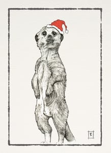 Image of Christmas Meerkat