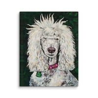 Image 2 of Standard Poodle with Whispies