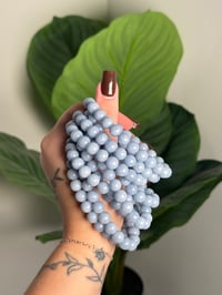 Image 1 of ANGELITE BEADED BRACELETS 8MM