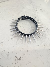 Image 6 of Pair of Spiked Buckle Strap
