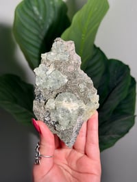 Image 1 of BOWTIE PREHNITE -INDIA- D