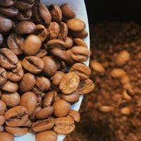 Image 5 of 250g Biker Beans 