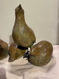 Image 6 of Caroline Wallace Covey of Grey Partridge 