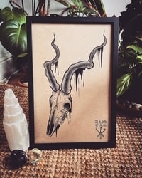 Image 2 of Skull Print