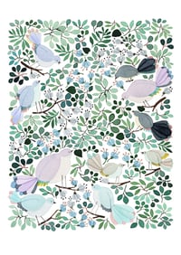 Forest Cuckoo -print