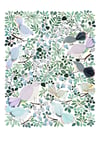 Forest Cuckoo -print