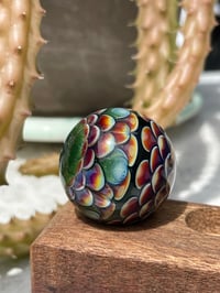 Image 11 of star marb