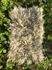 Image 3 of Curly Wool Throw