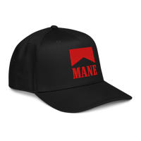 Image 3 of 5 Panel Cig Hat