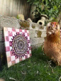 Image 2 of Pink Pardox 