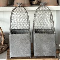 Image 1 of Cloche with Pot