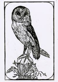 Image 1 of Luna - White Edition