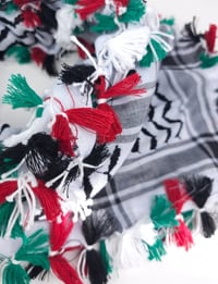 Image 2 of Palestinian Flag Colour Tassel Keffiyeh (made in Jordan)