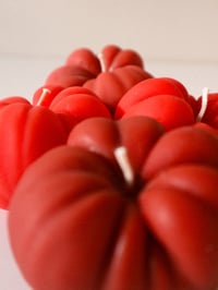 Image 2 of Tomato Lys 🍅