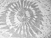 Image of Puffer Fish Pattern
