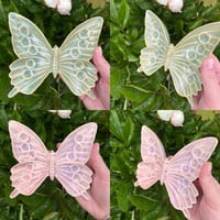 Image 1 of Butterfly Dish