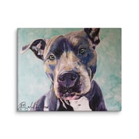 Image 1 of Smiling Blue Pitbull