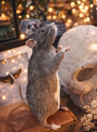 Image 1 of Make your own Large Taxidermy Rat Workshop 28th May 5.30 - 9.30pm 