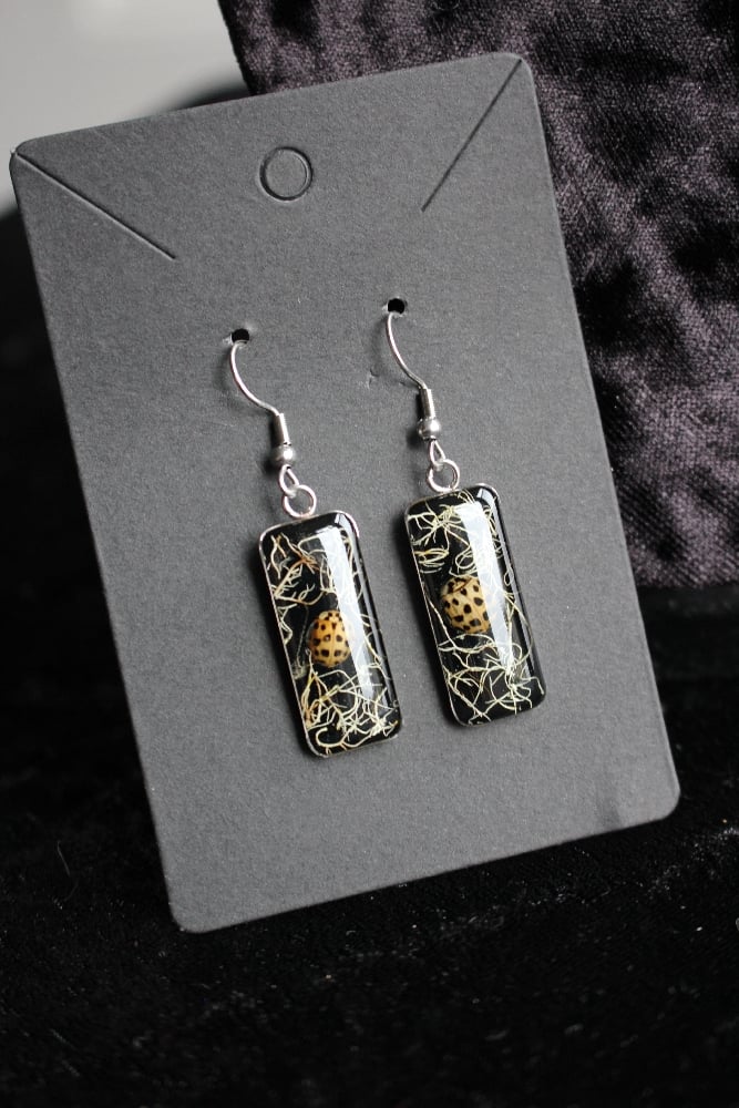 sunbleached lady bird stainless steel earrings 2 Image 7