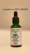 Brain Food (1oz brain function elixir) PRE-ORDER