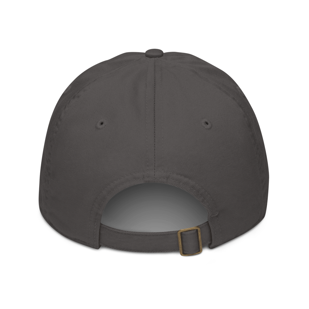 Organic cotton embroidered dad cap 