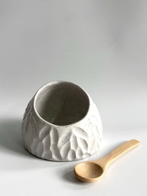 Image of Salt pig 5