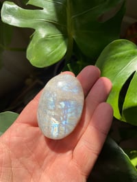 Image 2 of Moonstone Palm Crystal (6)