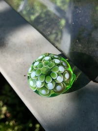 Image 2 of Green X Dots On Lime