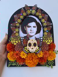 Image 9 of LOLA BUTTERFLY FRAME 