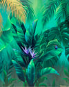 Paradise Found