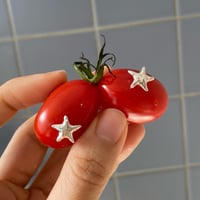 Image 2 of Star Stud