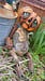 Image of Forgotten Pumpkinheads of OZ..
