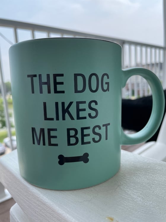 Image of Dog likes me best- 20 oz Mug