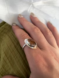 Image 7 of You’re So Golden 