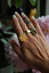 Image 2 of Citrine Claws
