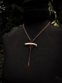 Image 1 of sticks and bones