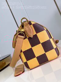 Image 7 of LV Leather Damier Bag