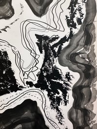 Image 4 of Topography squiggle painting 