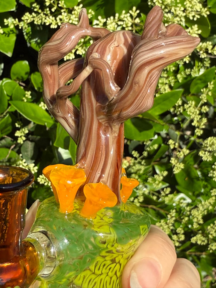 Image of Chanterelle Jammer