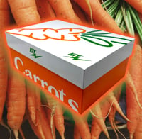 Image 5 of 🆕 Kool Kiy '85 Hi’s Carrots 🥕 By Anwar Carrots 🥕 X Reves Paris 👟 