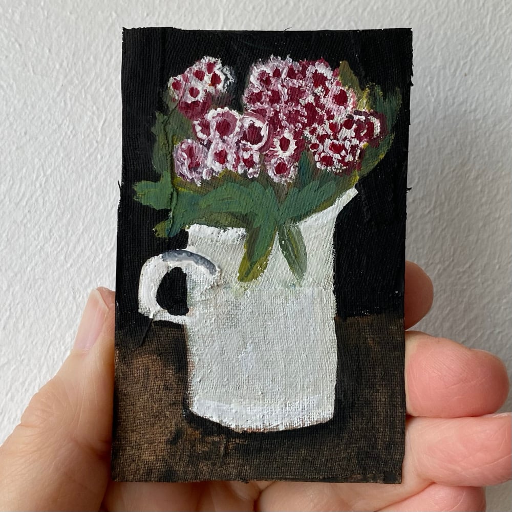 Image of sweet Williams in a pale jug