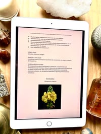 Image 3 of Ebook Plantas silvestres & comestibles 