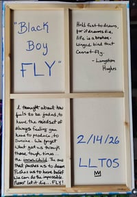 Image 4 of Black Boy Fly