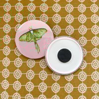 Image 1 of Moth & Butterfly Magnets & (other designs available)