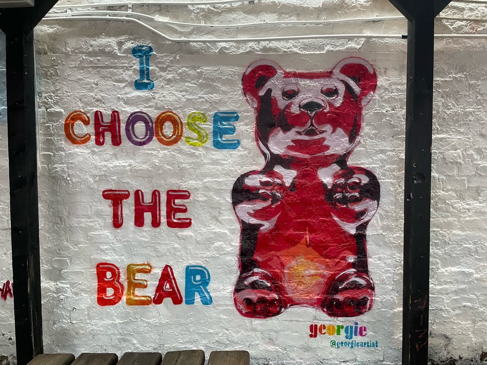 Image of I CHOOSE THE BEAR