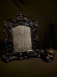 Image 1 of Large  Gothic black ornate framed preserved web