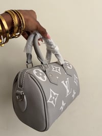 Image 2 of LV nano speedy bag